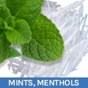 Mints and Menthol Flavours Mints and Menthol Flavours